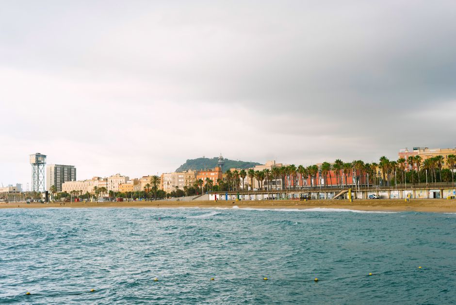 Plaża Barceloneta z panoramą miasta i palmami pod pochmurnym niebem
