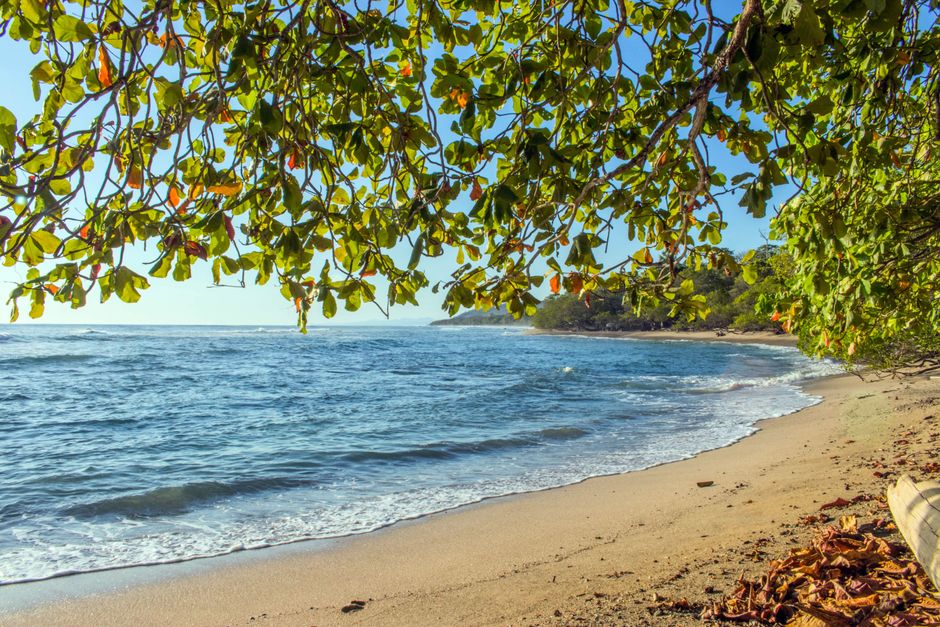 Spokojna plaża w Puntarenas z bujną zielenią i łagodnymi falami
